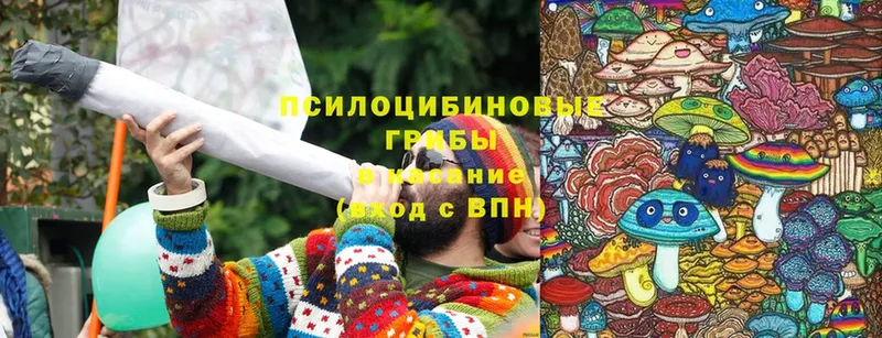 цена наркотик  Дно  Псилоцибиновые грибы Magic Shrooms 