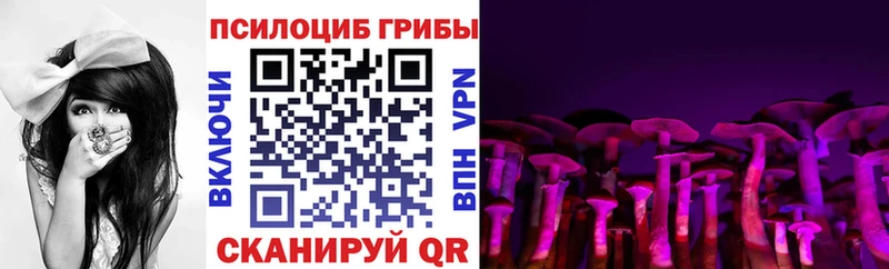 ссылка на мегу онион  Дно  Галлюциногенные грибы мицелий  как найти закладки 
